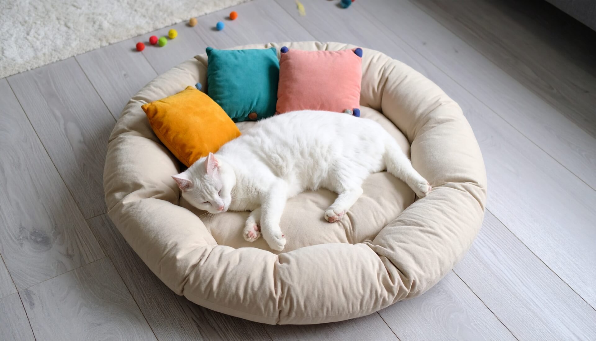 地域で協力して猫を守る